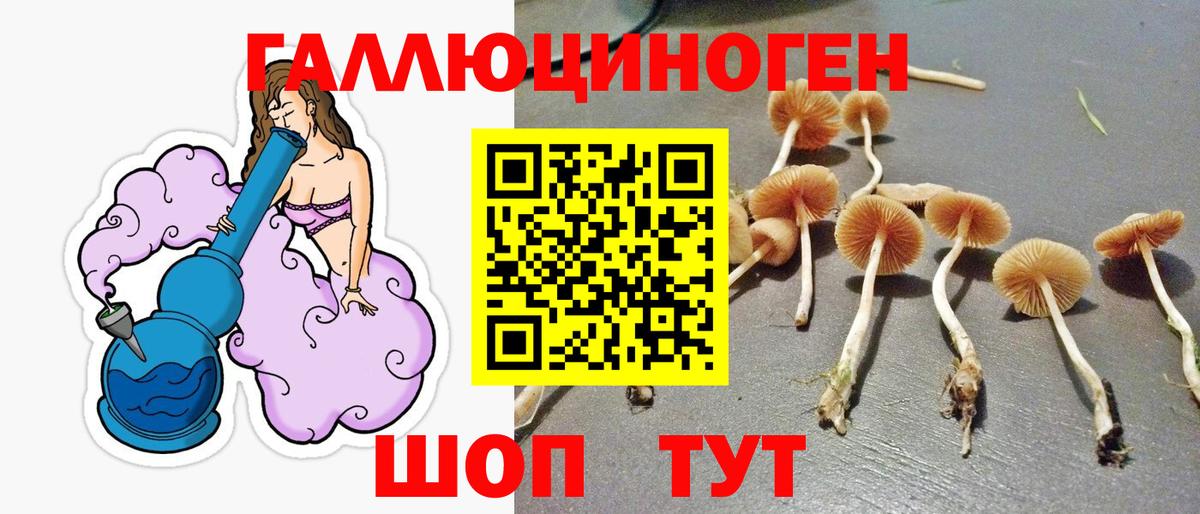 Советский  Галлюциногенные грибы GOLDEN TEACHER  Вход с VPN  Галлюциногенные грибы Psilocybe 